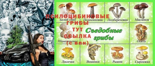прущие крисы Беломорск