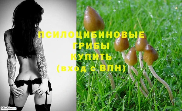 индика Белоозёрский