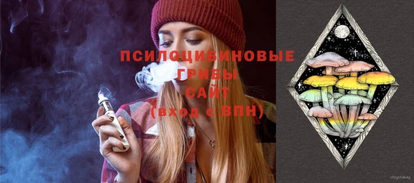 индика Белоозёрский