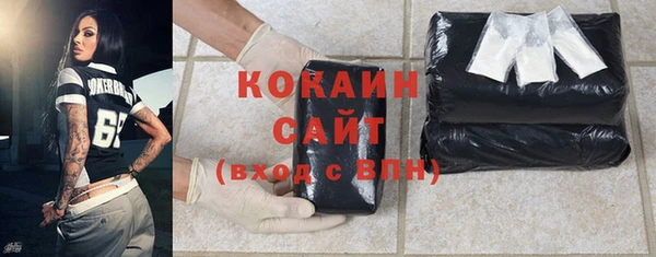 индика Белоозёрский