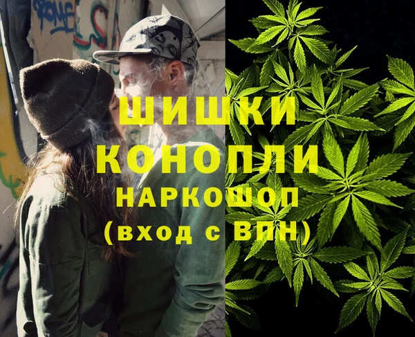 индика Белоозёрский