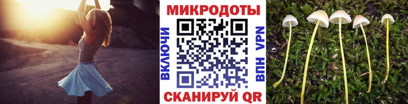 Псилоцибиновые грибы GOLDEN TEACHER Кузнецк